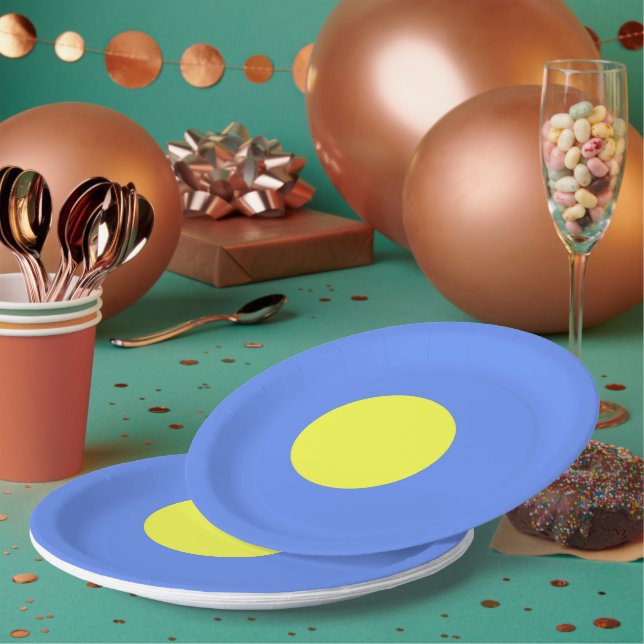 Palau flag paper plate (Multi)
