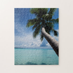 Palau, Micronesia, Palm tree at Palau Lagoon Jigsaw Puzzle