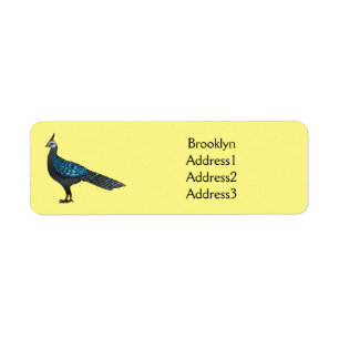 Palawan peacock pheasant bird cartoon illustration