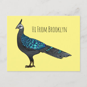 Palawan peacock pheasant bird cartoon illustration postcard