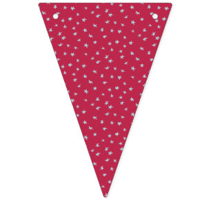 Pale Blue American Stars on Red Bunting Banner