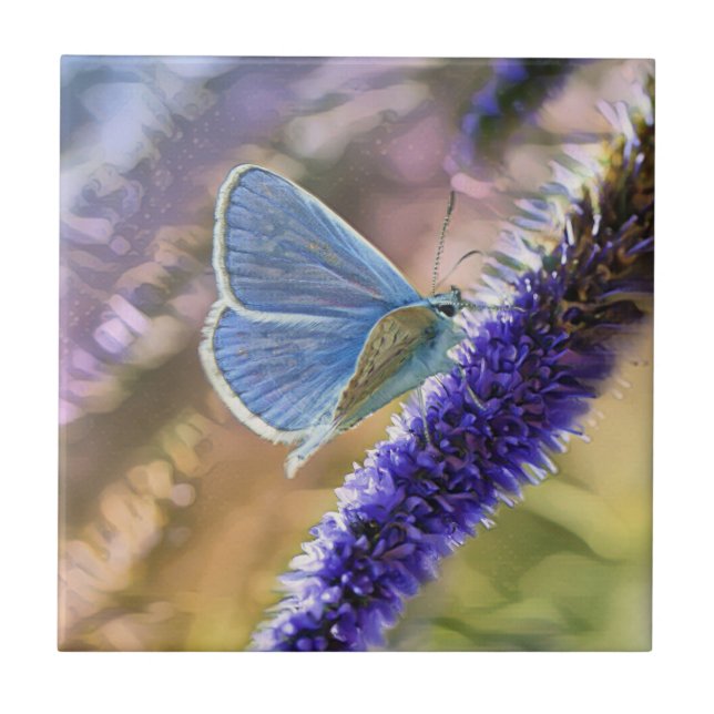 Pale Blue Butterfly On Lavender Flowers Tile (Front)