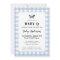 Pale Blue Gingham Plaid Baby Shower BBQ