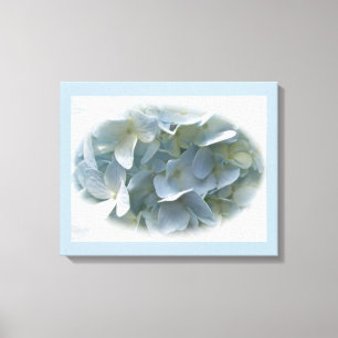 Pale Blue Hydrangea Flowers Canvas Print