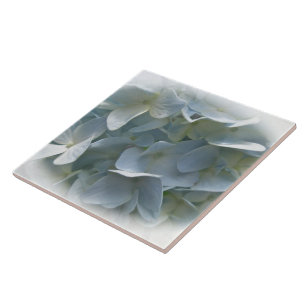 Pale Blue Hydrangea Flowers Tile