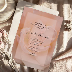 Pale Blush Pink Rose Floral Post Wedding Brunch Invitation