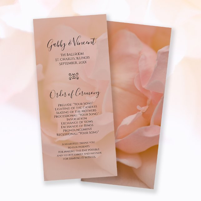 Pale Blush Pink Rose Floral Wedding Program Programme (Creator Uploaded)