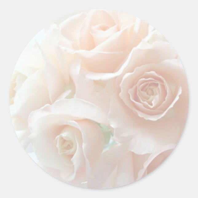 pale coral roses stickers (Front)