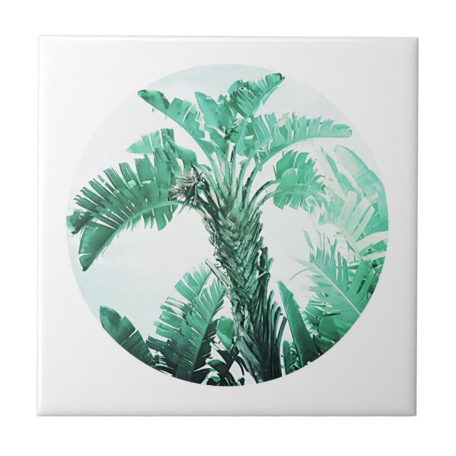 Pale Green Banana Tree Palm Leaves Tile (Front)