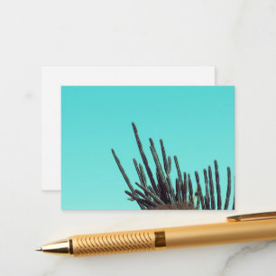 Pale Green Cactus Succulent Plants Minimalism Enclosure Card
