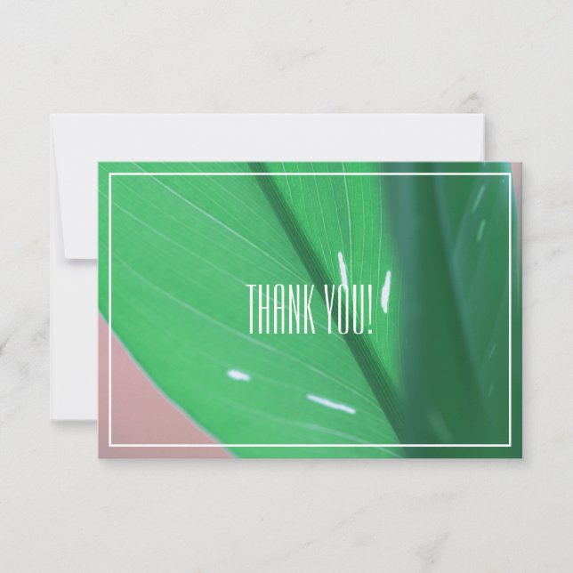 Pale Green Leaf Plant Thank You Flat Card (Front)
