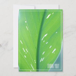 Pale Green Leaf Plant Thank You Flat Card