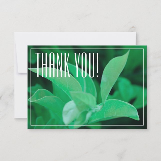 Pale Green Leaf Plant Thank You Flat Card (Front)