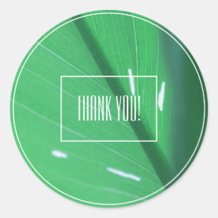 Pale Green Leaf Plant Thank You Sticker