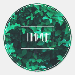 Pale Green Leaf Plant Thank You Sticker