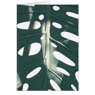 Pale Green Pastel Swiss Cheese Plant Greeting Card