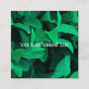 Pale Green Plant Leaves Nature Feel Business Card