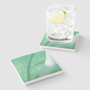 Pale Green Plant Leaves Nature Feel Enjoy Drink Stone Coaster
