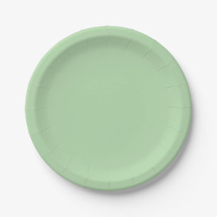 Pale Green Solid Colour Paper Plates