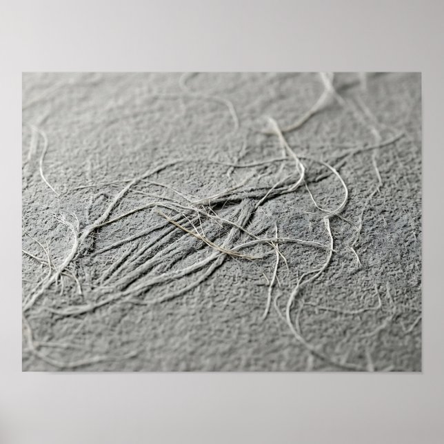 Pale Grey Tangled Fibre Paper Texture Poster (Front)