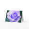 Pale Lavender Rose Birthday Card