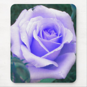 Pale Lavender Rose Mouse pad