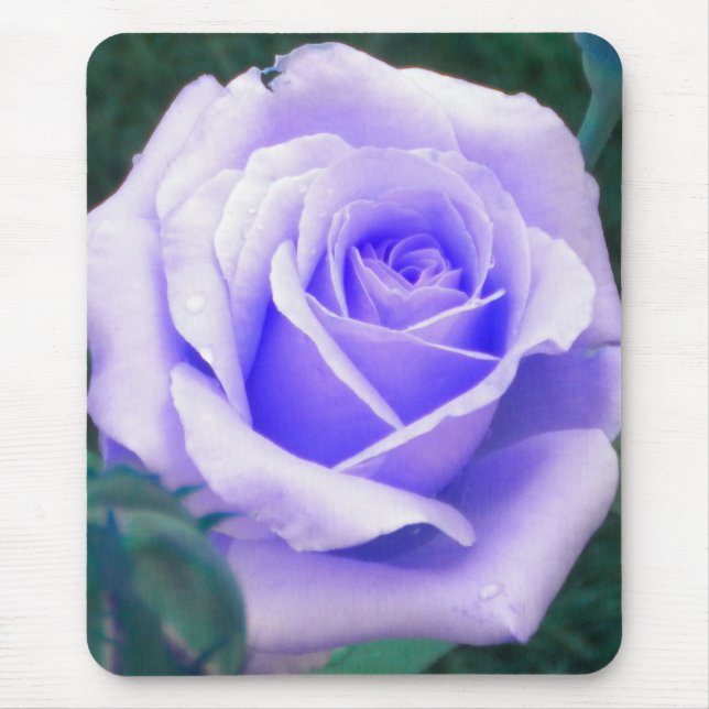 Pale Lavender Rose Mouse pad (Front)