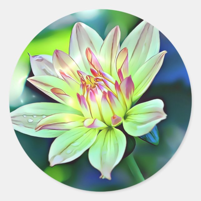 Pale Ombre Orange Pink Giant Dahlia Flower Art Classic Round Sticker (Front)