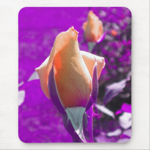 Pale Orange Rose bud mouse pad