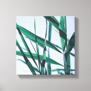 Pale Pastel Green Grass Reeds Canvas Print