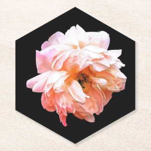 Pale Peach Peony on Black Paper Coaster