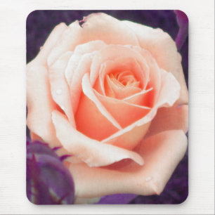 Pale Peach Rose Mouse pad