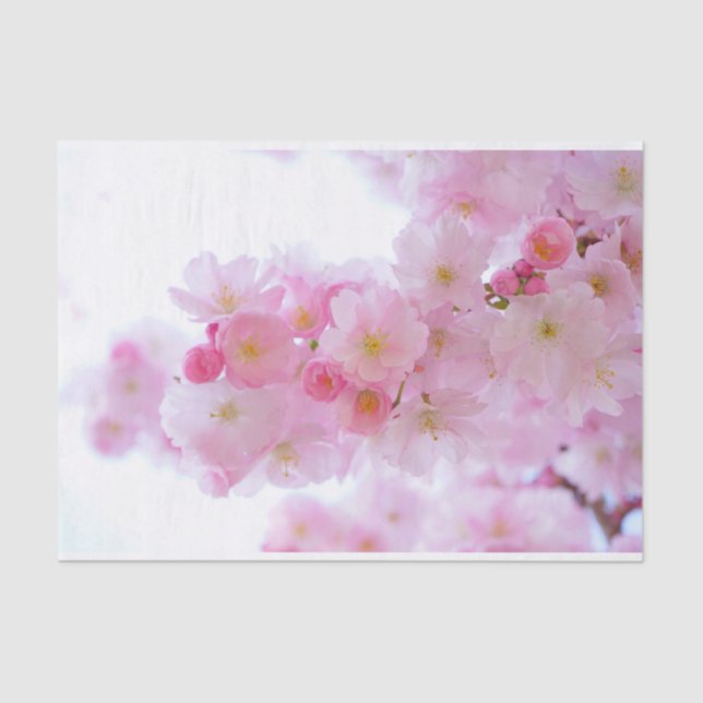 Pale Pink Cherry Blossoms Tissue Paper (Front)