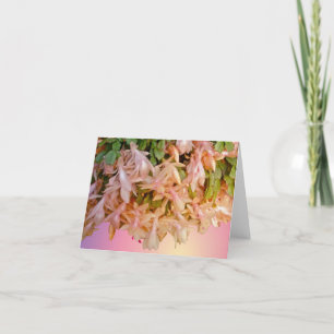 Pale Pink Christmas Cactus Note Card