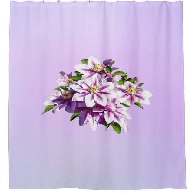 Pale Pink Clematis Shower Curtain (Front)