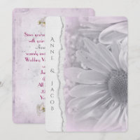 pale pink daisy macro on torn edge paper