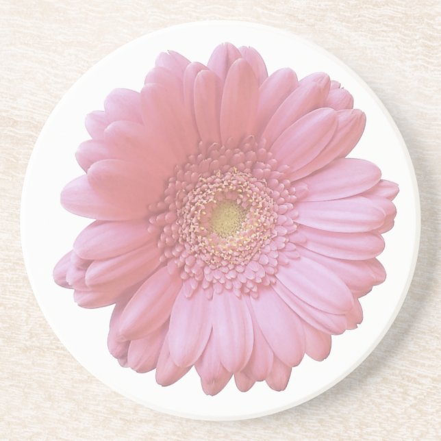 Pale pink gerbera daisy coaster (Front)