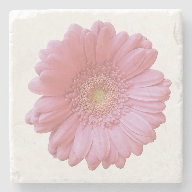 Pale pink gerbera daisy stone coaster (Front)