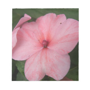 Pale Pink Impatiens Flower Notepad