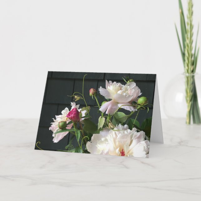 Pale Pink Peonies 2020 by Diane Heller Card (Front)