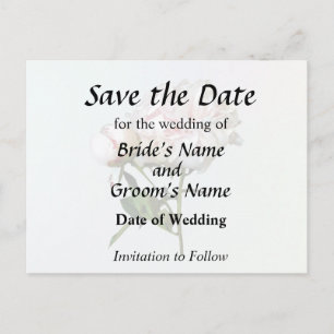 Pale Pink Peony and Bud Announcement Postcard