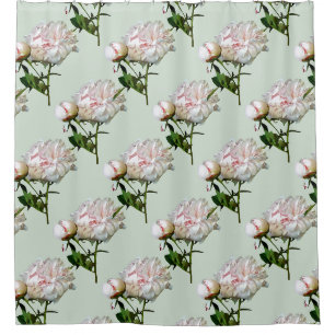 Pale Pink Peony and Bud Shower Curtain