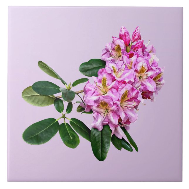 Pale Pink Rhododendron Tile (Front)