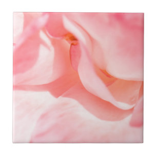 Pale pink Rose Petals Tile