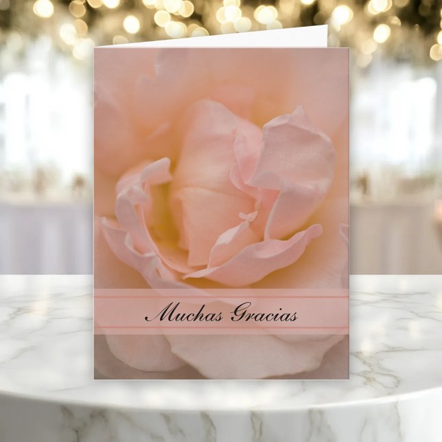 Pale Pink Rose Spanish Thank You Gracias Card (Creator Uploaded)