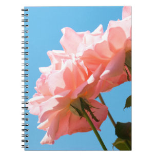 Pale pink rose spiral notebook