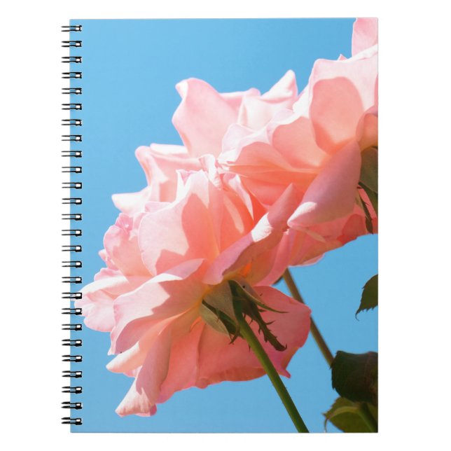 Pale pink rose spiral notebook (Front)