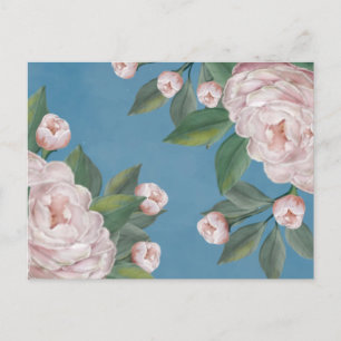 Pale Pink Roses with Navy Blue Background  Postcard