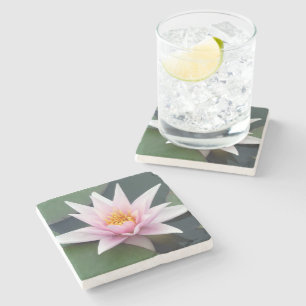 Pale Pink Single Waterlily Coaster