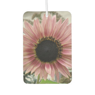 Pale Pink Sunflower Car Air Freshener